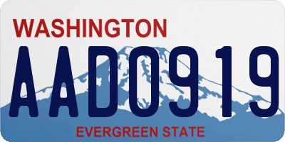 WA license plate AAD0919