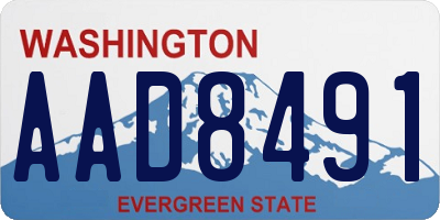 WA license plate AAD8491