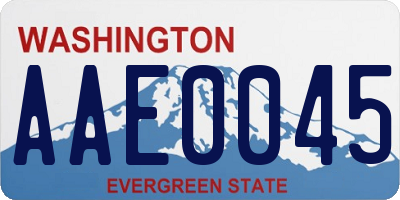 WA license plate AAE0045