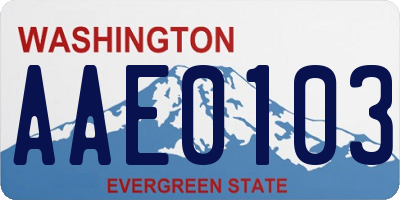 WA license plate AAE0103