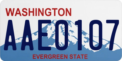 WA license plate AAE0107