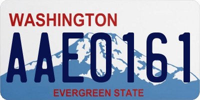 WA license plate AAE0161