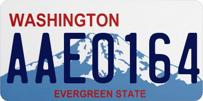 WA license plate AAE0164