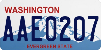 WA license plate AAE0207