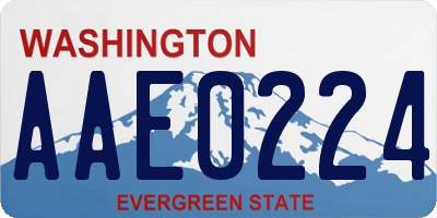WA license plate AAE0224