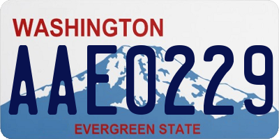 WA license plate AAE0229