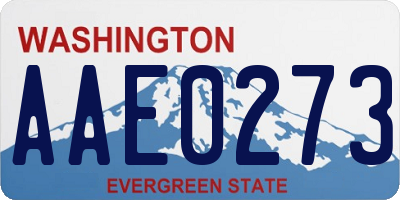 WA license plate AAE0273
