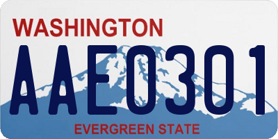 WA license plate AAE0301