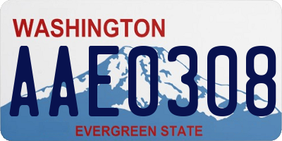 WA license plate AAE0308