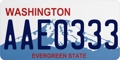 WA license plate AAE0333