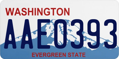 WA license plate AAE0393