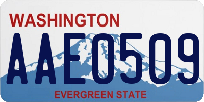 WA license plate AAE0509