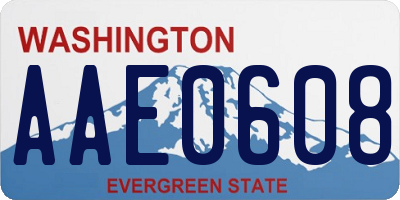 WA license plate AAE0608