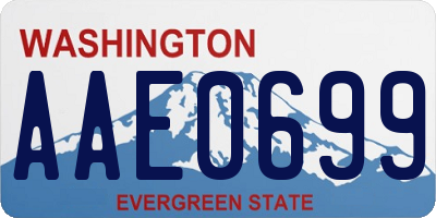 WA license plate AAE0699