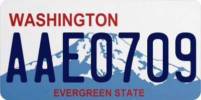 WA license plate AAE0709
