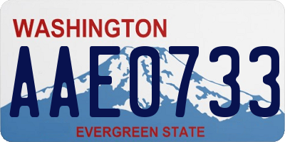 WA license plate AAE0733