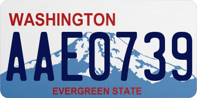 WA license plate AAE0739