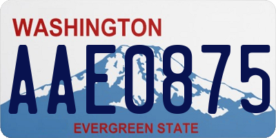 WA license plate AAE0875