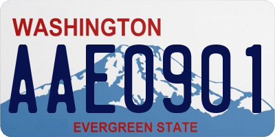 WA license plate AAE0901