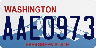 WA license plate AAE0973