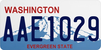WA license plate AAE1029