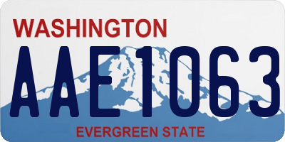 WA license plate AAE1063