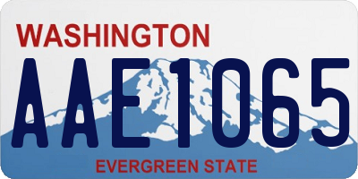 WA license plate AAE1065