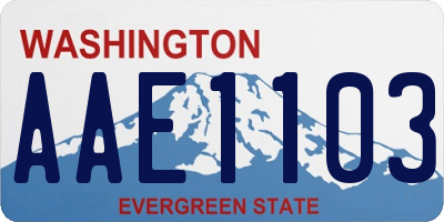 WA license plate AAE1103