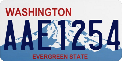 WA license plate AAE1254