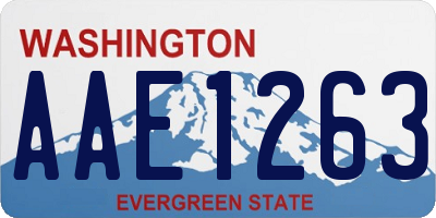WA license plate AAE1263