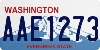 WA license plate AAE1273