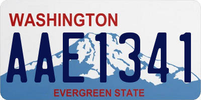 WA license plate AAE1341