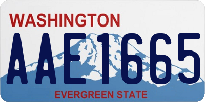 WA license plate AAE1665