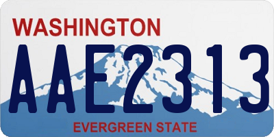 WA license plate AAE2313