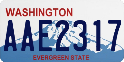 WA license plate AAE2317