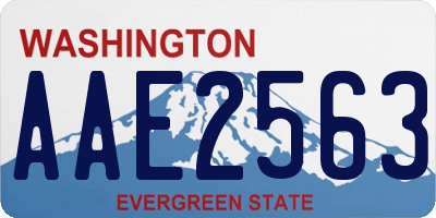 WA license plate AAE2563
