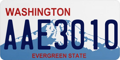 WA license plate AAE3010