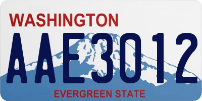 WA license plate AAE3012