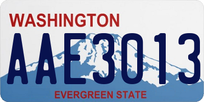 WA license plate AAE3013