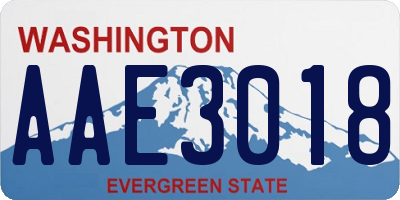 WA license plate AAE3018