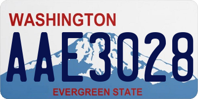 WA license plate AAE3028