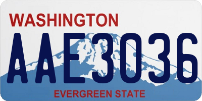 WA license plate AAE3036