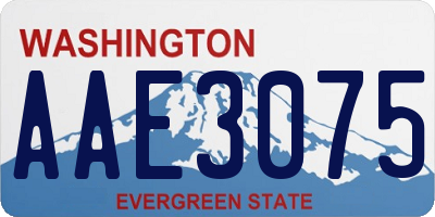 WA license plate AAE3075