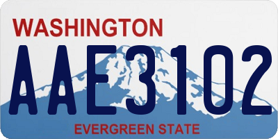 WA license plate AAE3102