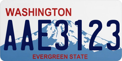 WA license plate AAE3123