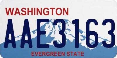 WA license plate AAE3163