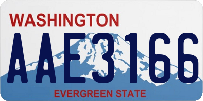 WA license plate AAE3166