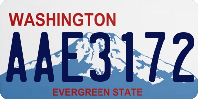 WA license plate AAE3172