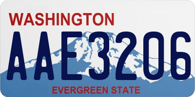 WA license plate AAE3206