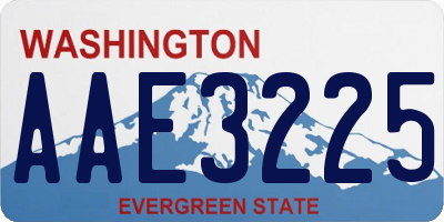 WA license plate AAE3225